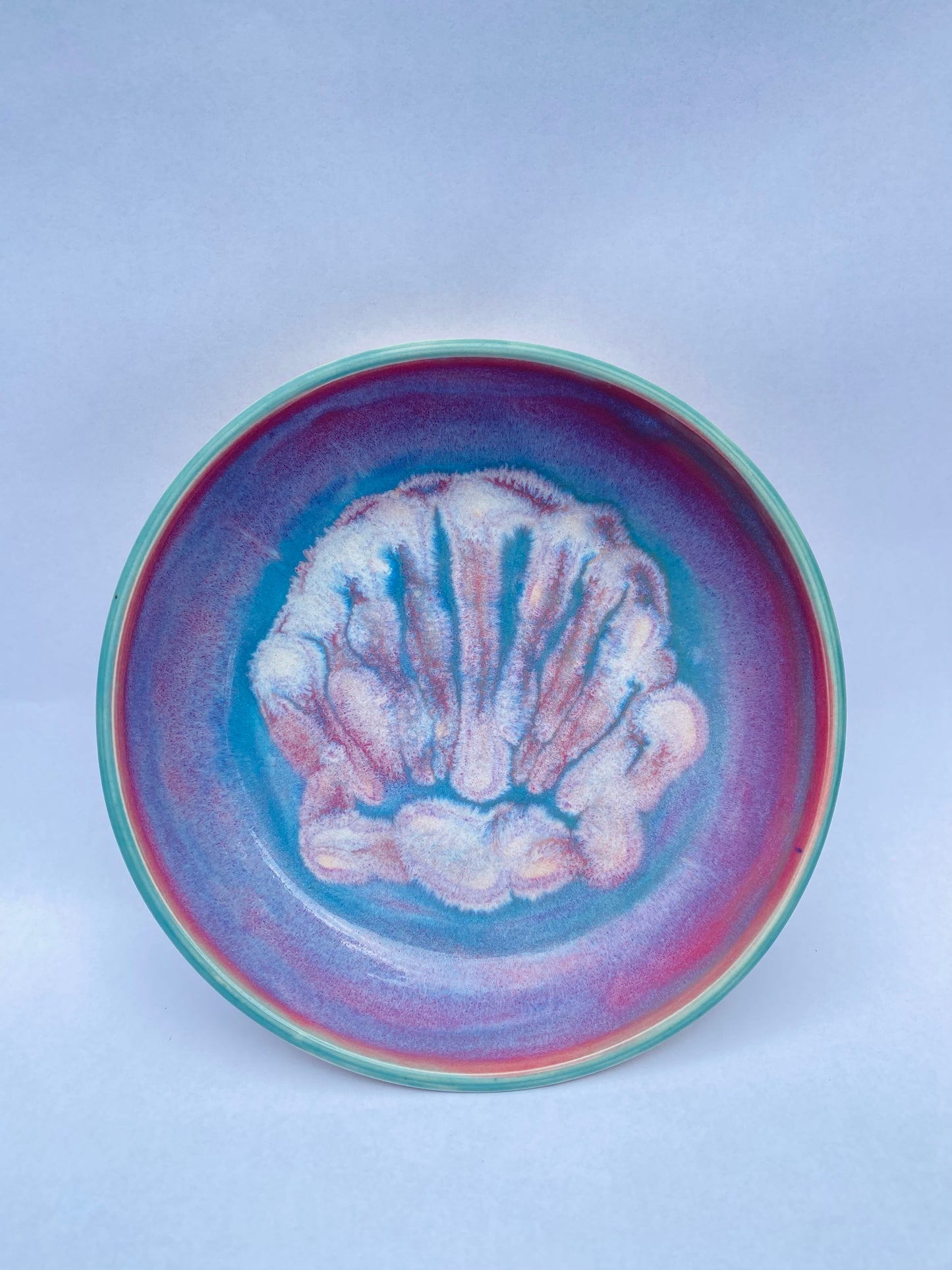 Dish in Shell