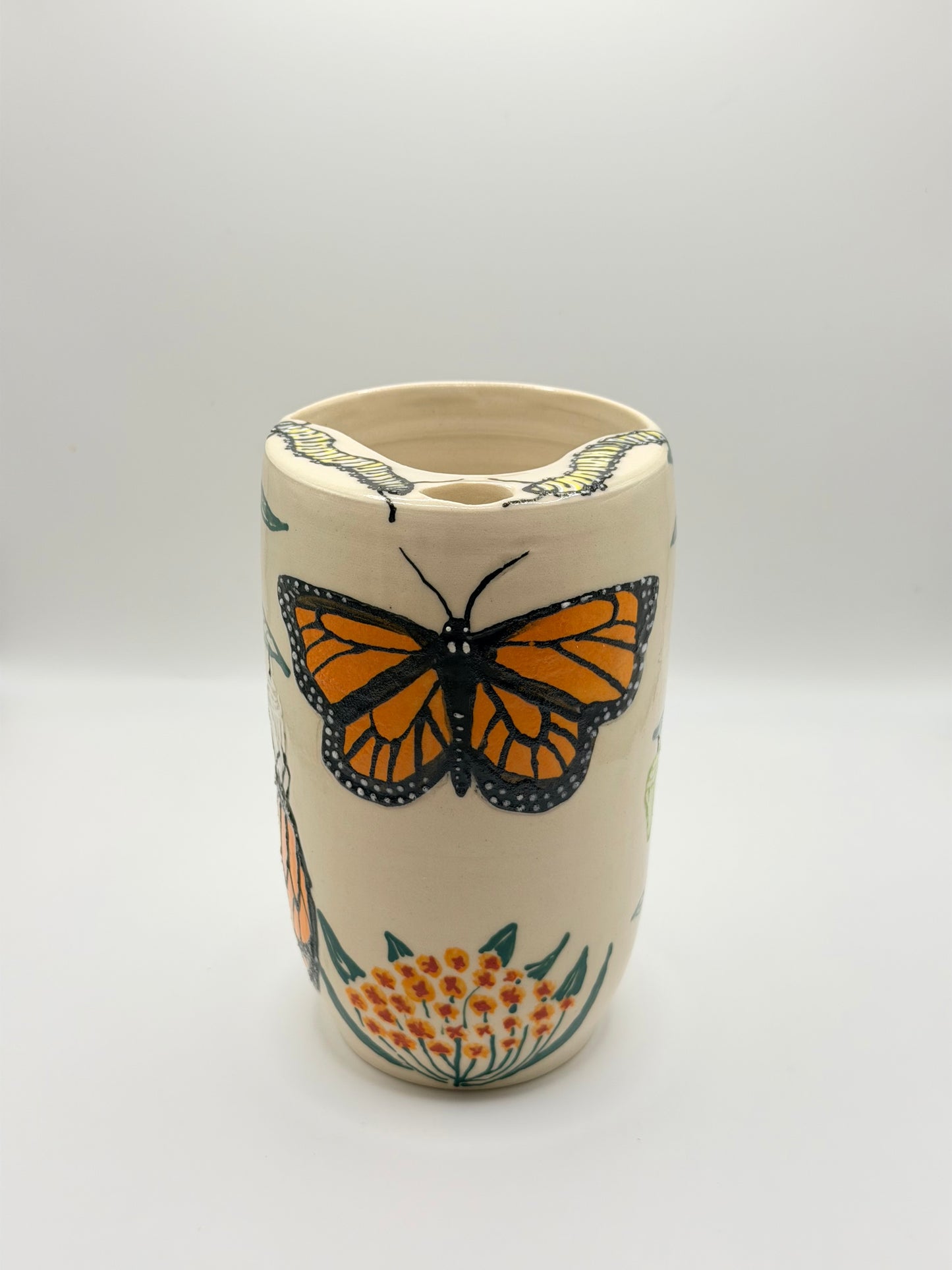 Monarch Life Cycle To Go I (15oz)