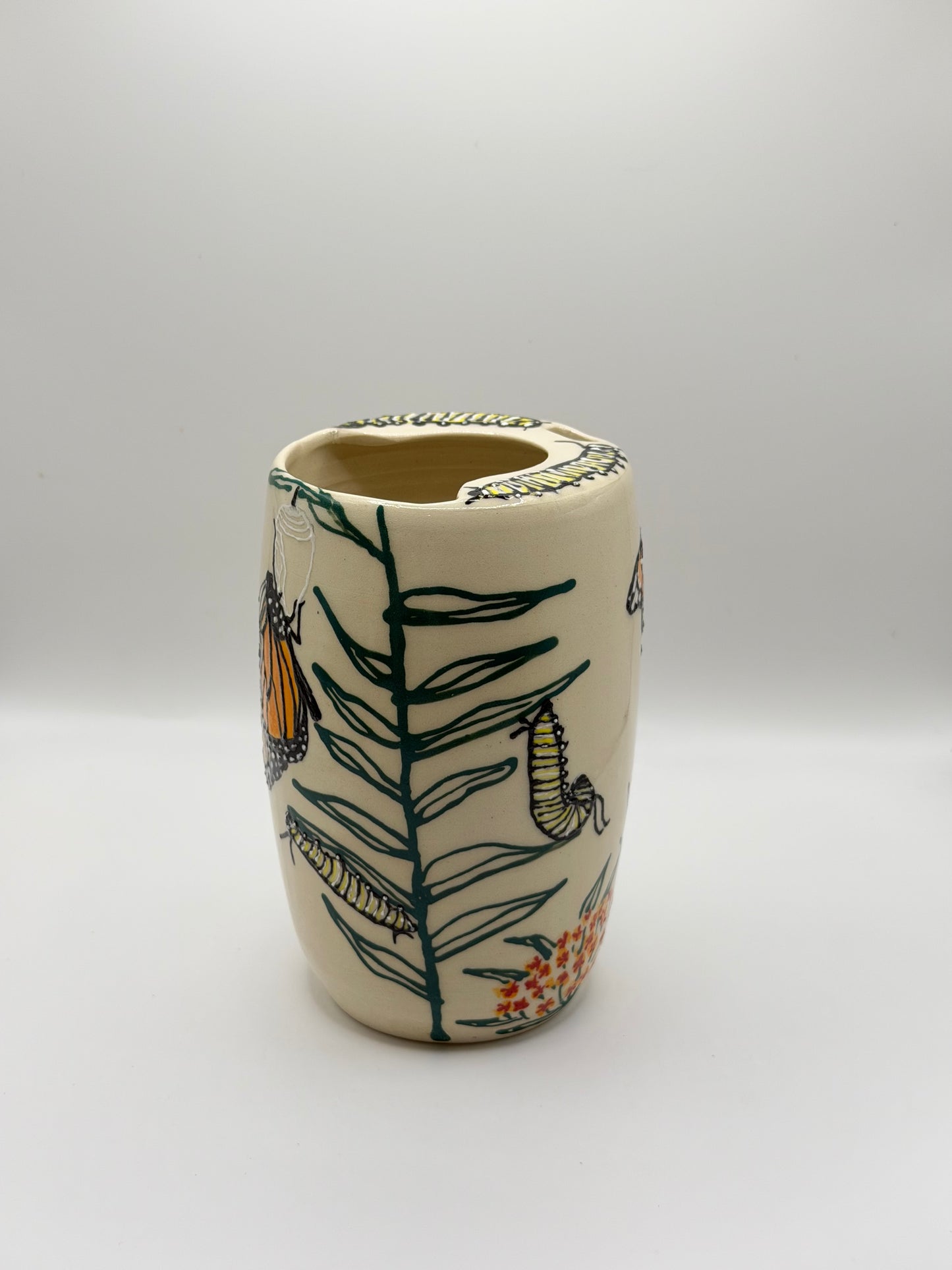 Monarch Life Cycle To Go II (14oz)