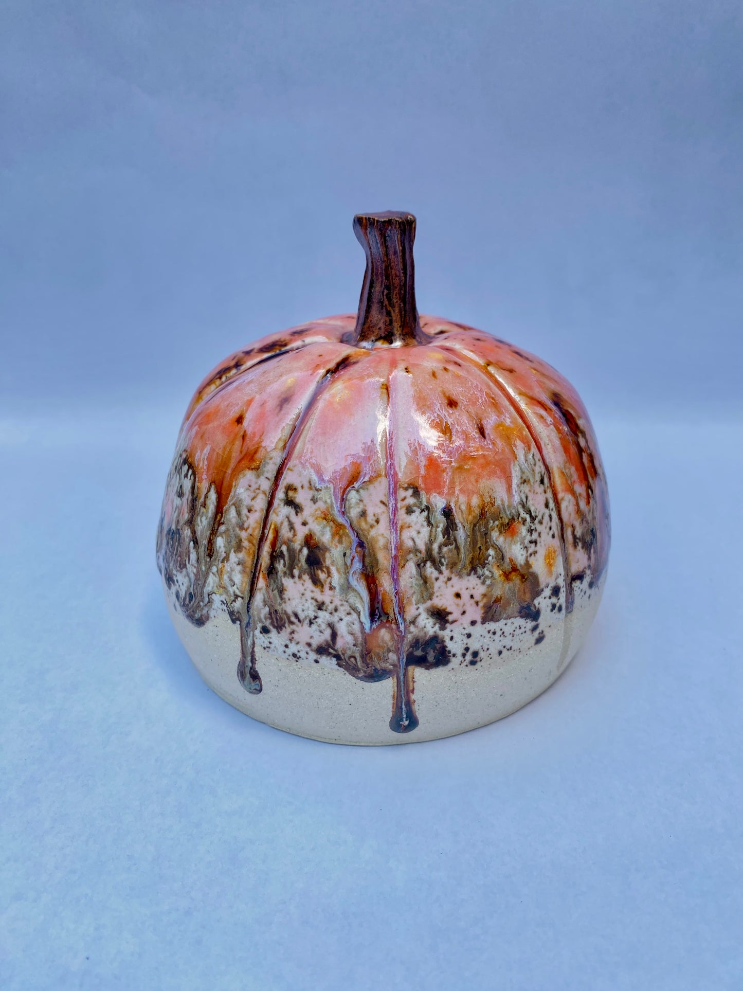Pumpkin in Amaryllis