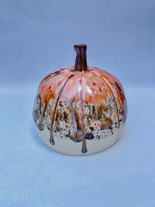 Pumpkin in Amaryllis