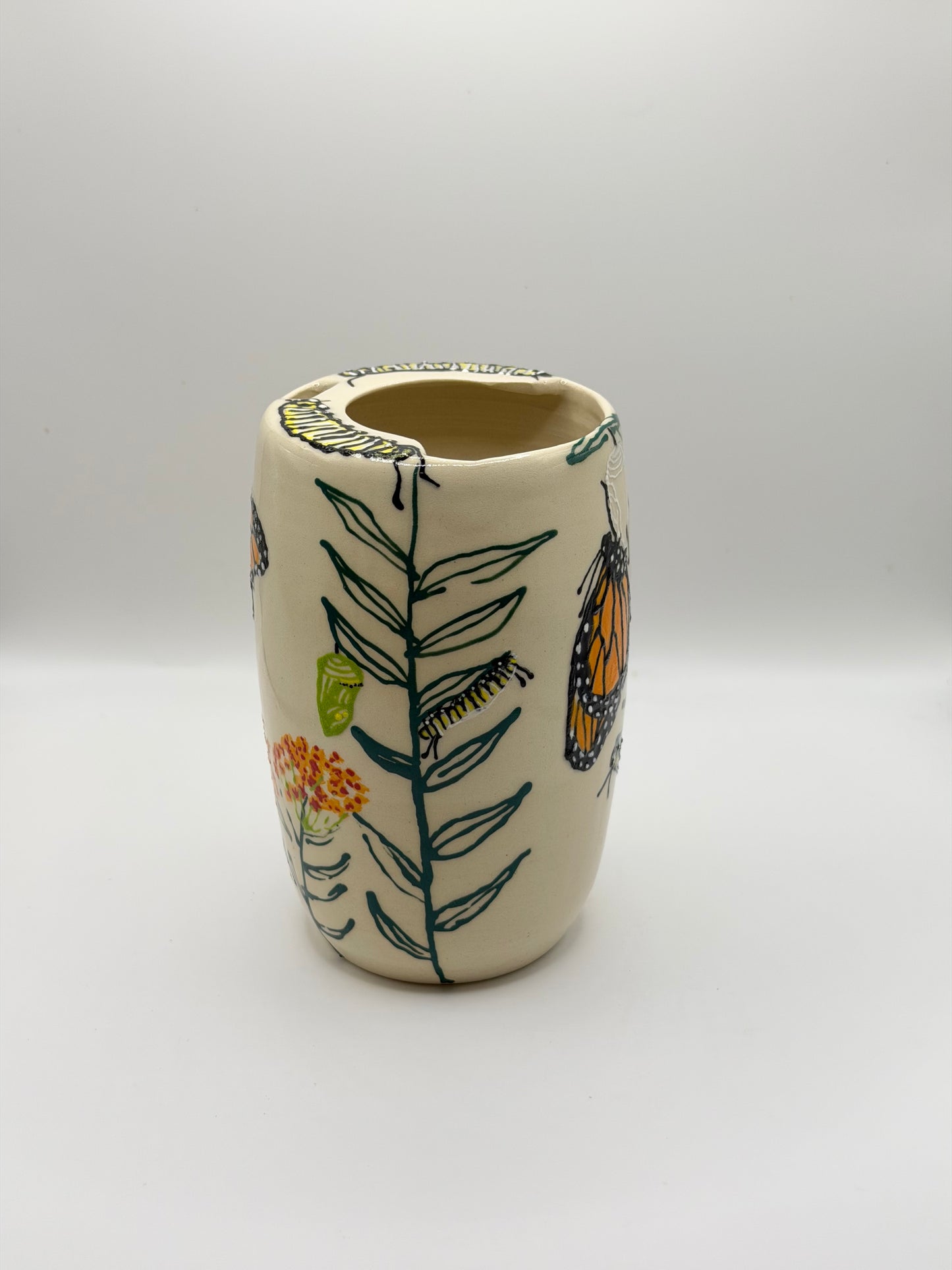 Monarch Life Cycle To Go II (14oz)