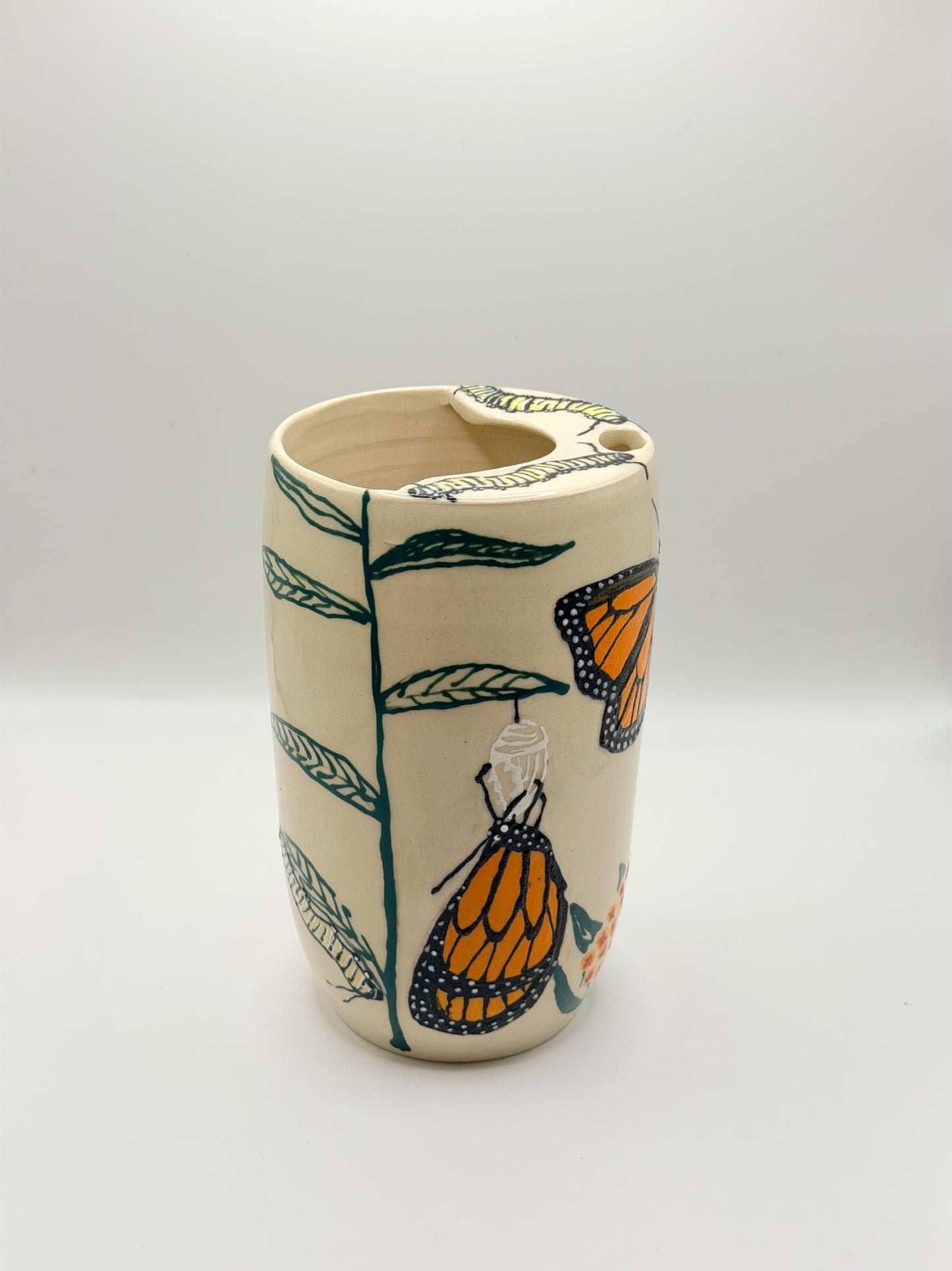 Monarch Life Cycle To Go I (15oz)