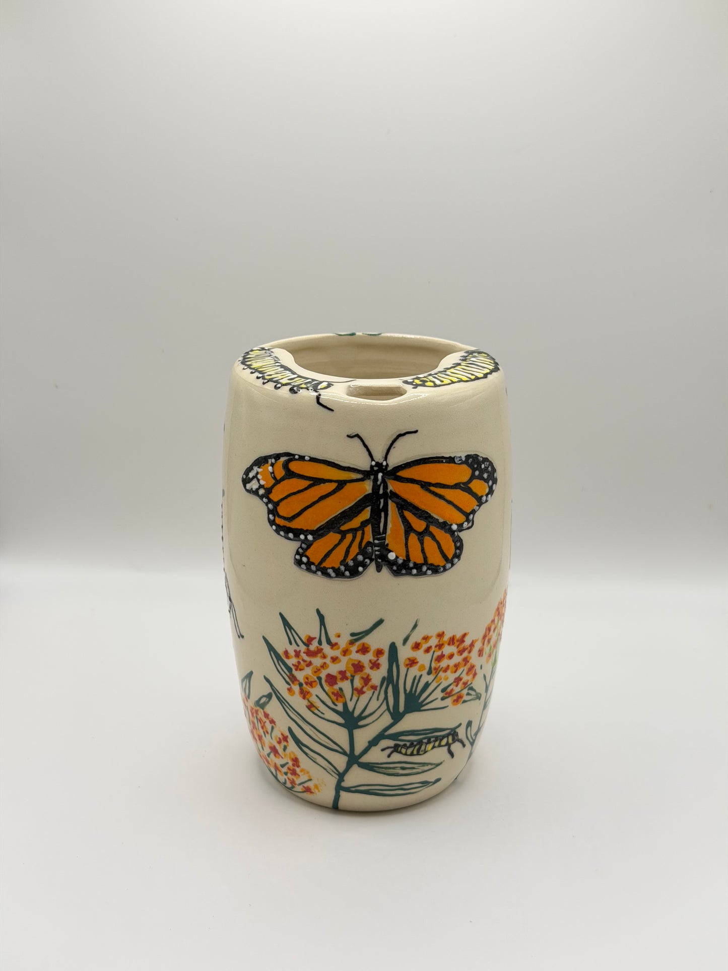 Monarch Life Cycle To Go II (14oz)