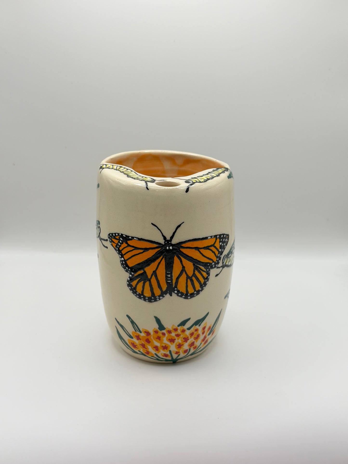 Monarch Life Cycle To Go IV (13oz)